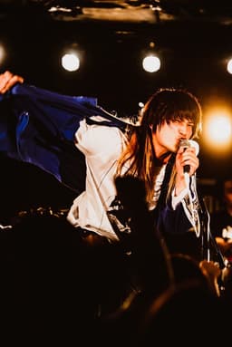 ヤマトパンクスのアーティスト画像